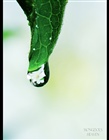 dailyPhoto11